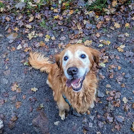 Klein Aber Fein, Ein Tiny-house * 첼레