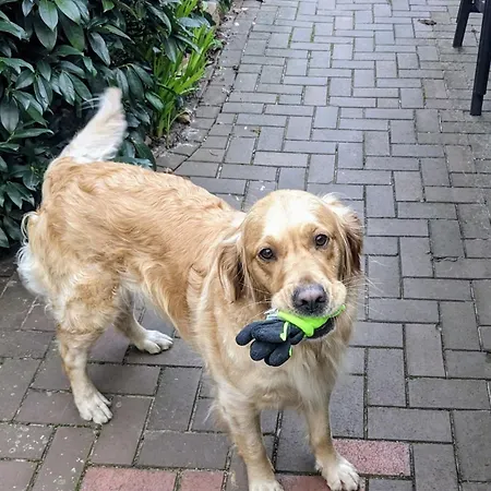 Klein Aber Fein, Ein Tiny-house 아파트 *