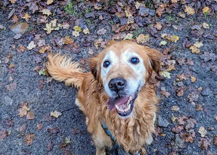 Klein Aber Fein, Ein Tiny-house * Celle